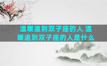 温暖追到双子座的人 温暖追到双子座的人是什么